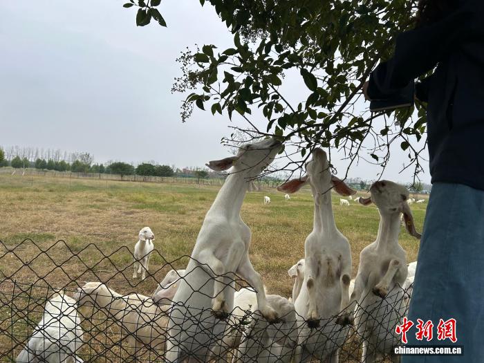 通讯评论（18） - 爱游戏